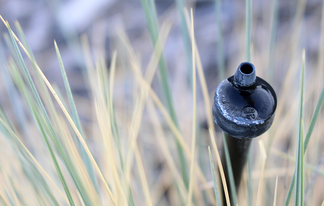 Photo of a drip irrigation system