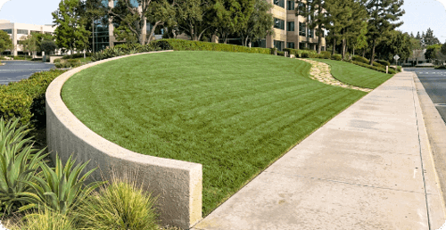 Grass lawn on a sloped area