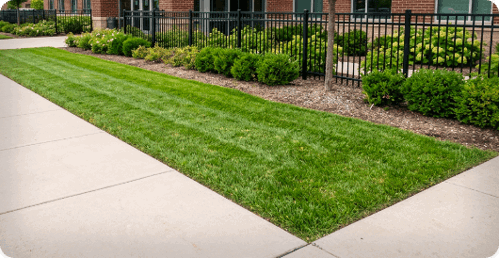 Decorative lawn between sidewalk and a fence.