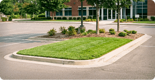 Grass lawn in a median